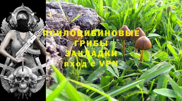 mdpv Краснотурьинск