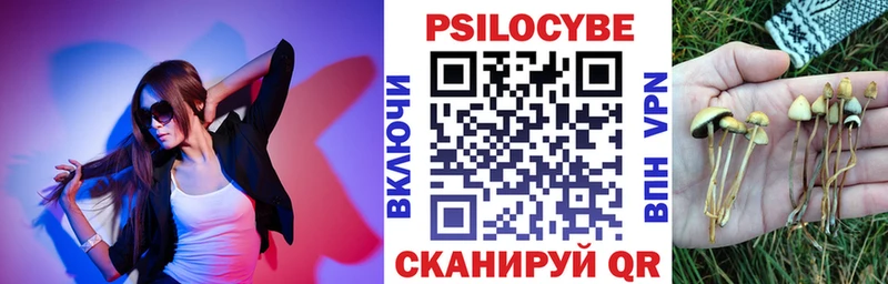 OMG ССЫЛКА цены наркотик Мещовск Галлюциногенные грибы Magic Shrooms